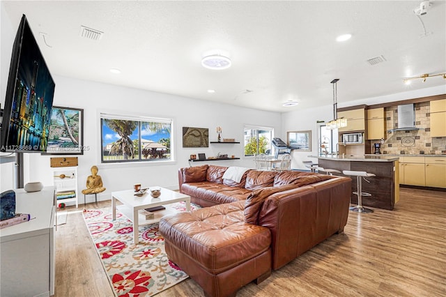 living room featuring light wood-type flooring