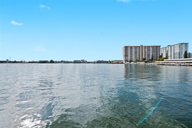 water view featuring a view of city