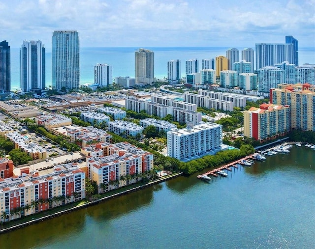 aerial view with a water view and a view of city