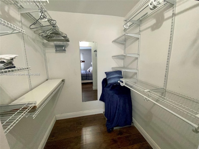 spacious closet featuring dark hardwood / wood-style flooring