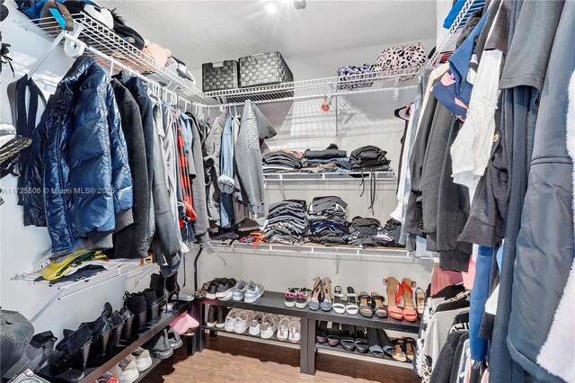 spacious closet with hardwood / wood-style flooring