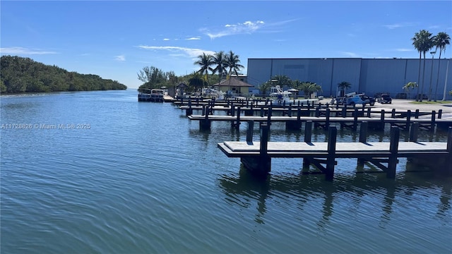 view of dock with a water view