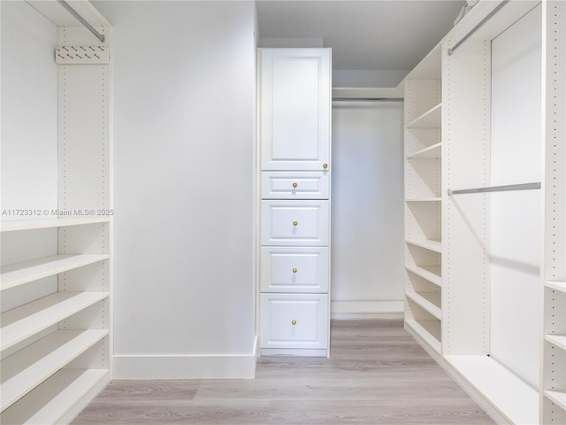 spacious closet with light hardwood / wood-style flooring