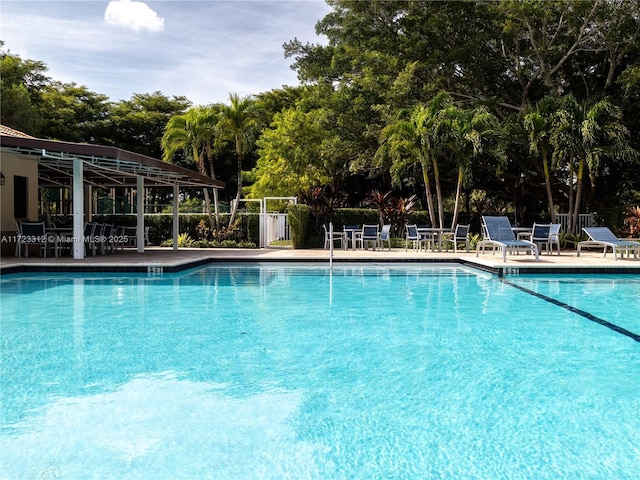 view of swimming pool