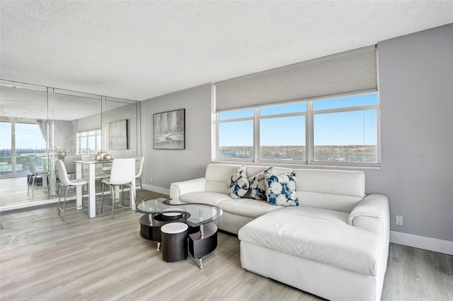 living room featuring a textured ceiling and light hardwood / wood-style flooring