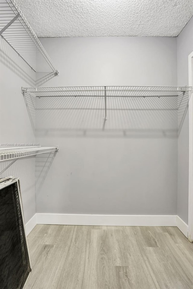 walk in closet with light hardwood / wood-style flooring