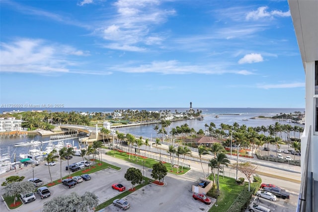 aerial view with a water view