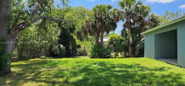 view of yard