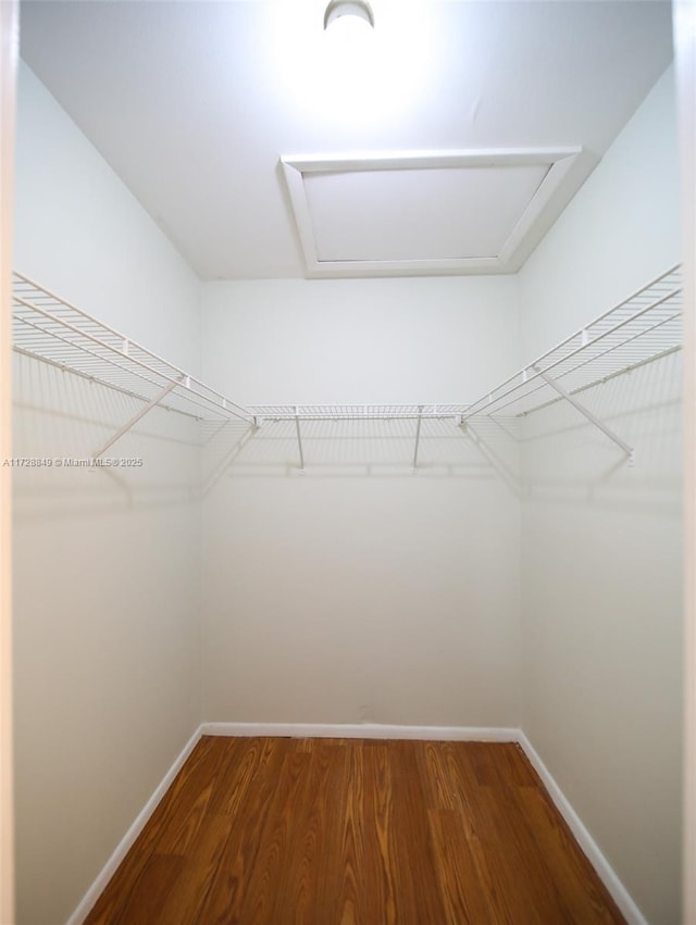 walk in closet with hardwood / wood-style floors