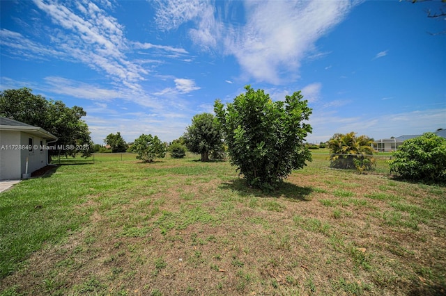 view of yard featuring a rural view