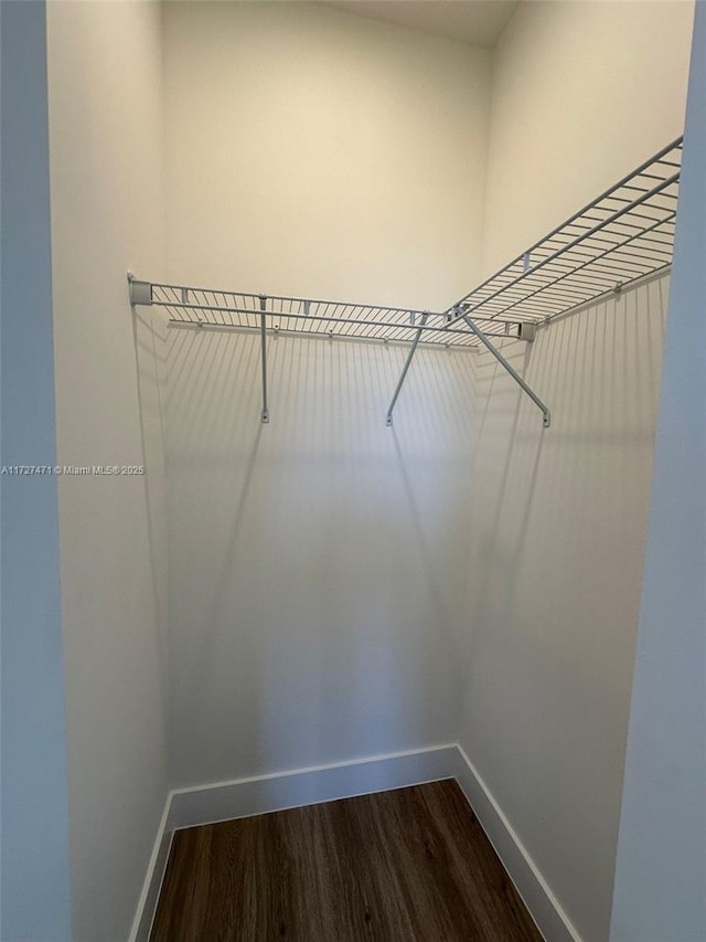 spacious closet featuring wood-type flooring