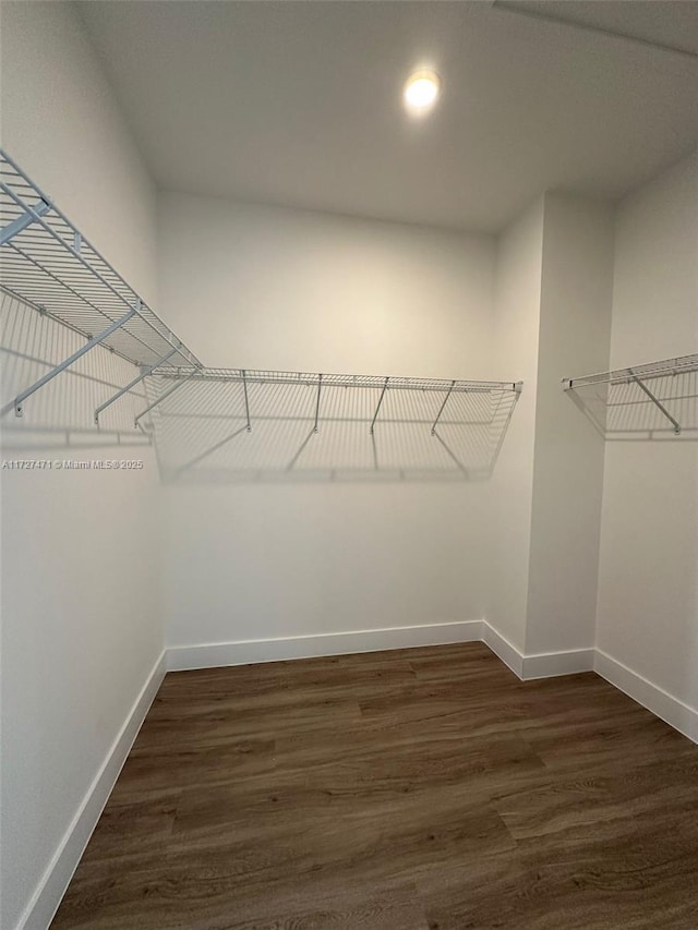 spacious closet with dark hardwood / wood-style flooring