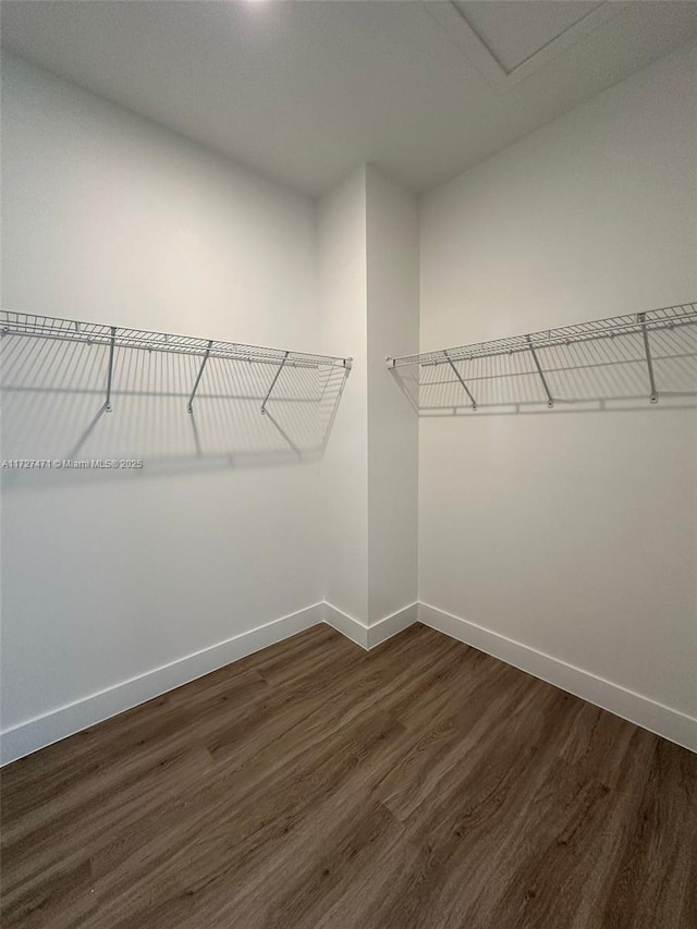 walk in closet with dark hardwood / wood-style floors