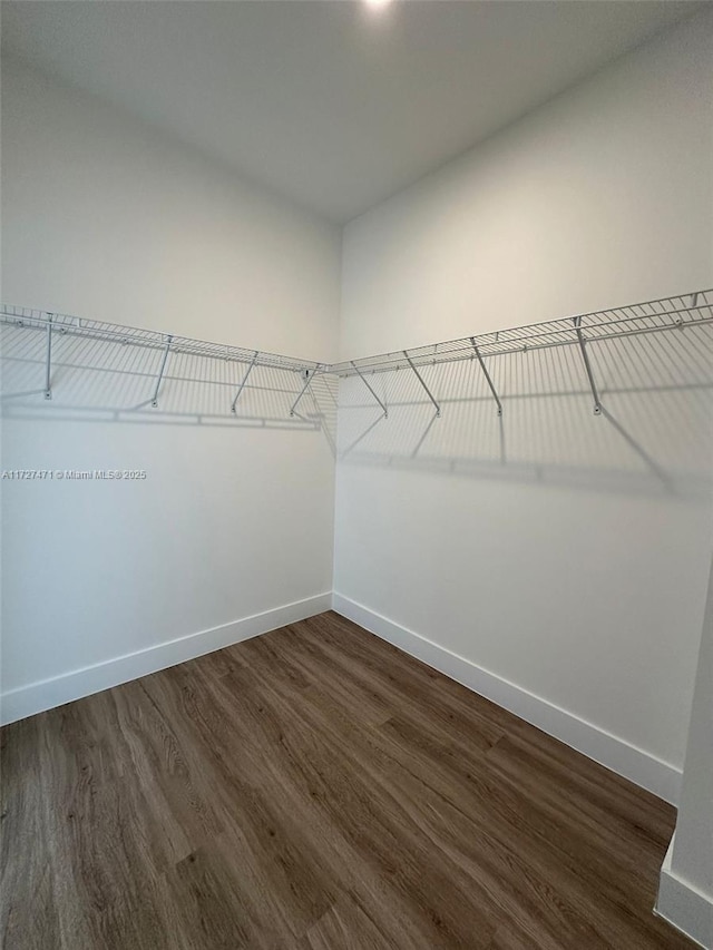 spacious closet featuring dark hardwood / wood-style floors