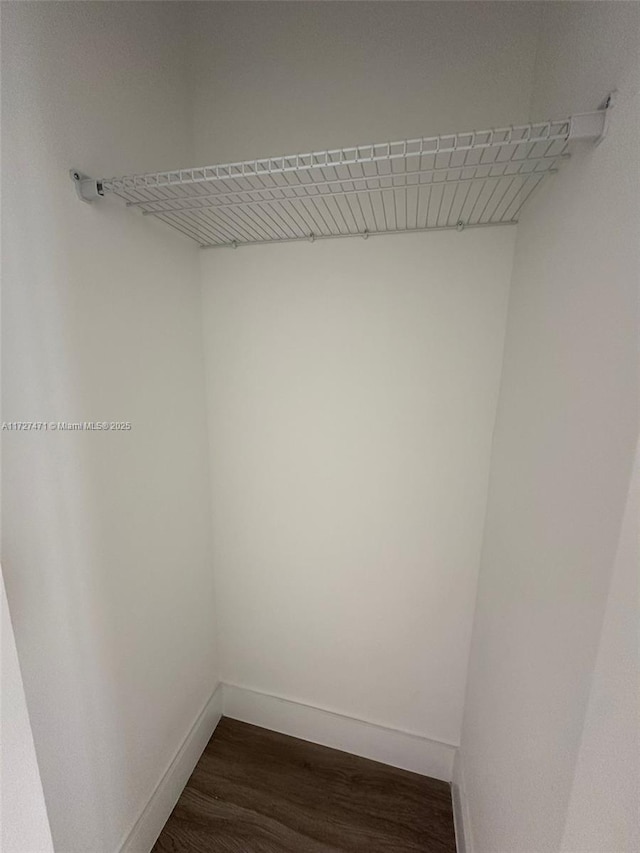 spacious closet with dark wood-type flooring