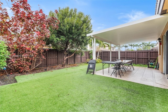 view of yard featuring a patio