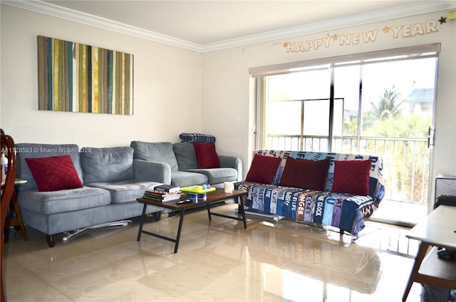 living room featuring crown molding