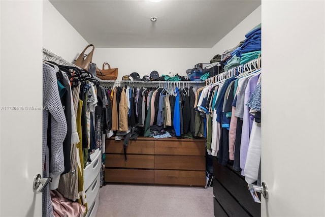 walk in closet with light carpet