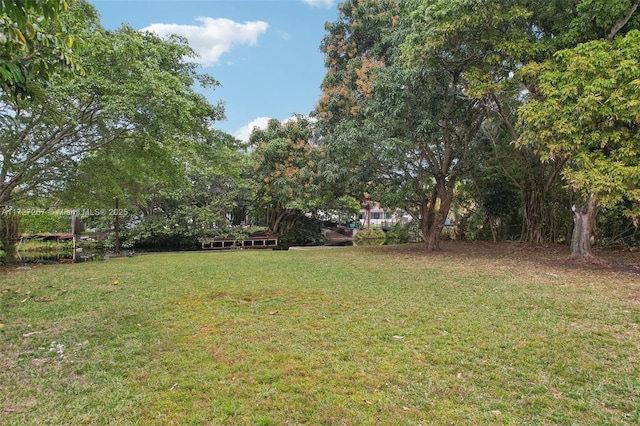 299 S Biscayne River Dr, Miami, FL 33169 - view of green lawn