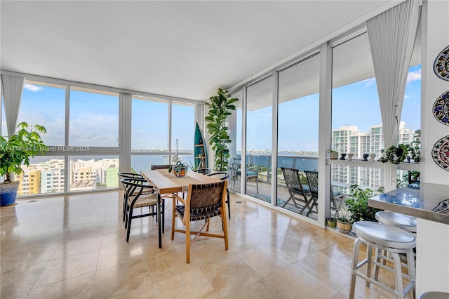 sunroom with a water view and a wealth of natural light