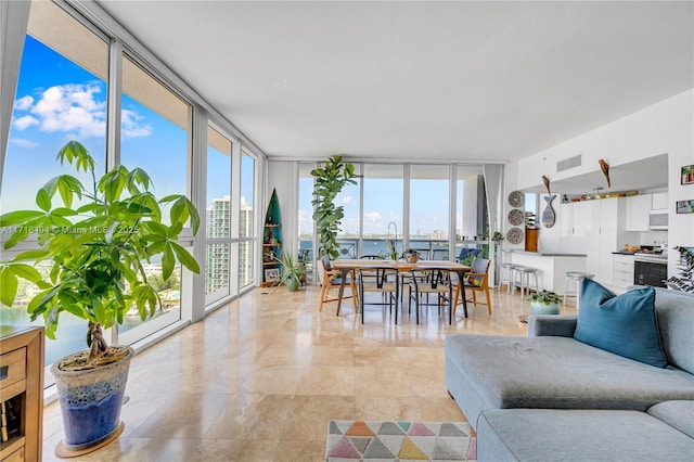 living room with a water view, expansive windows, and a healthy amount of sunlight