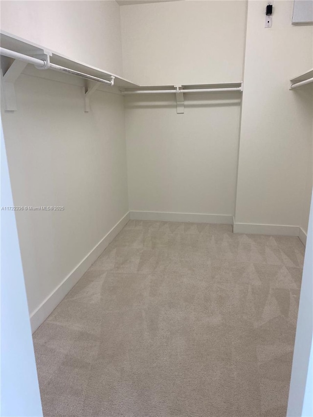 spacious closet with light carpet