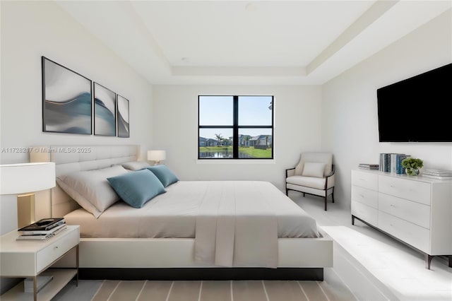 bedroom featuring a tray ceiling