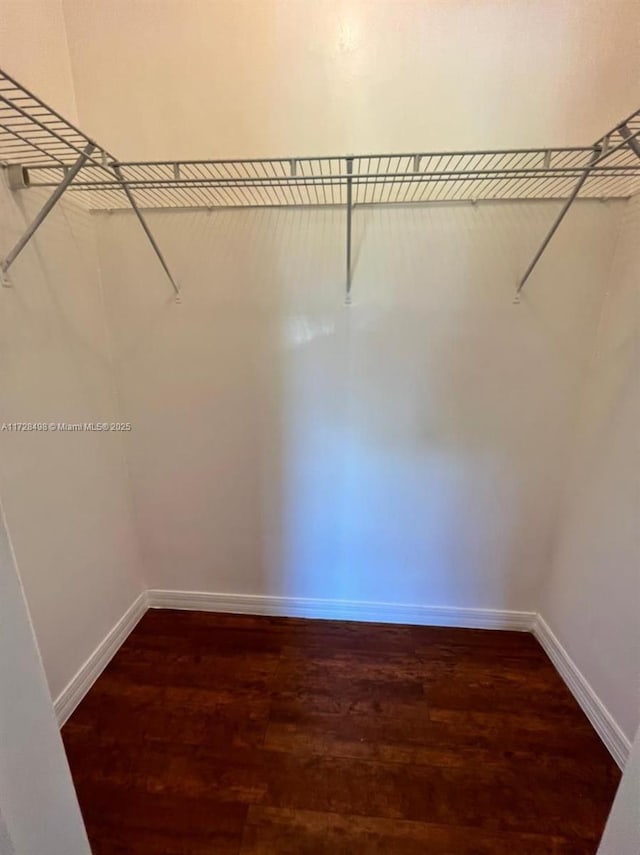 spacious closet featuring dark hardwood / wood-style floors