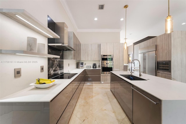 kitchen with decorative light fixtures, wall chimney range hood, sink, appliances with stainless steel finishes, and ornamental molding