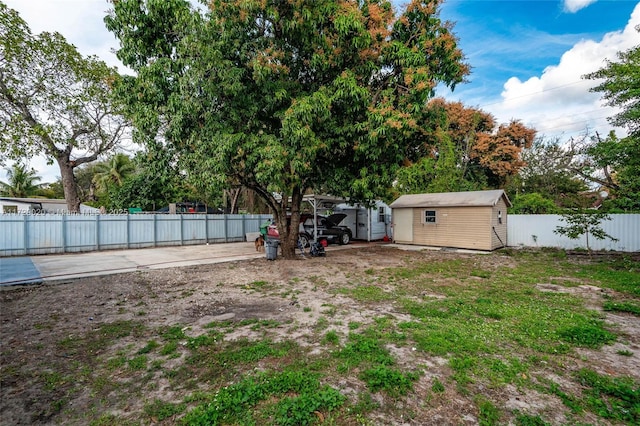 view of yard featuring a shed