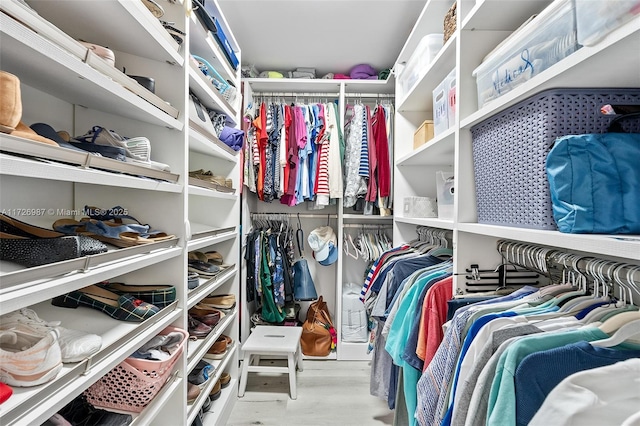 view of walk in closet