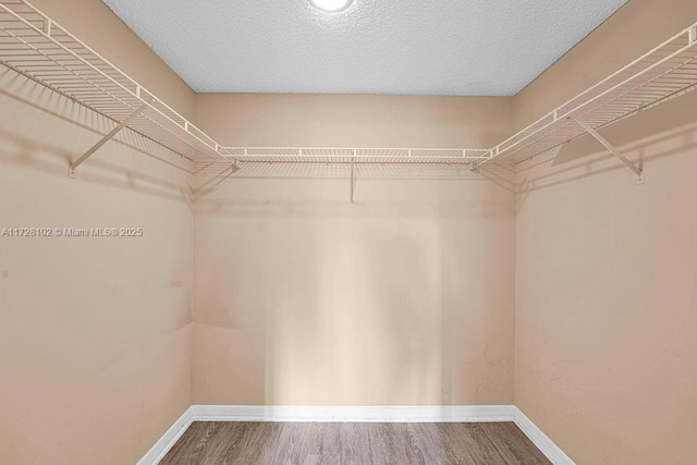 walk in closet with wood-type flooring