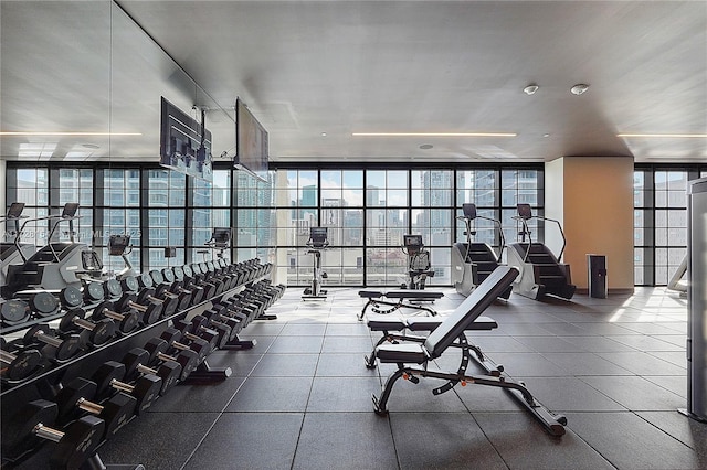 workout area featuring a healthy amount of sunlight and floor to ceiling windows