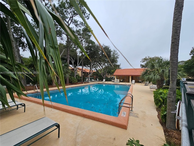 view of swimming pool with a patio