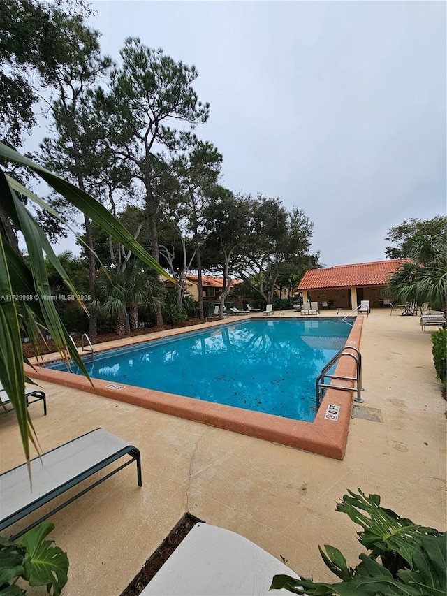 view of pool featuring a patio area