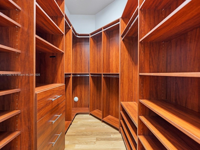 walk in closet featuring light wood finished floors