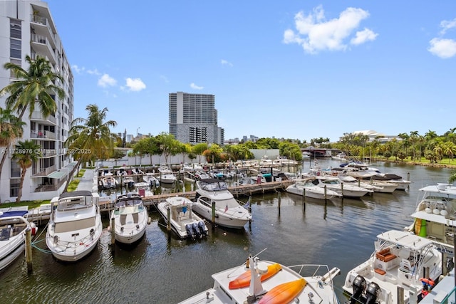 dock area with a water view