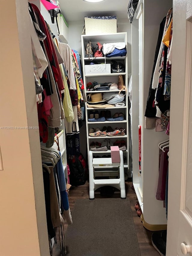 view of spacious closet