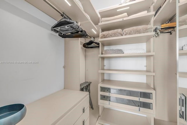 spacious closet featuring sink