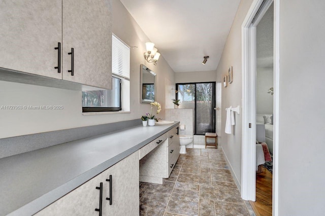 bathroom with toilet and vanity