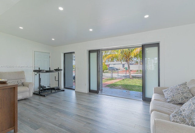 living room featuring light hardwood / wood-style flooring