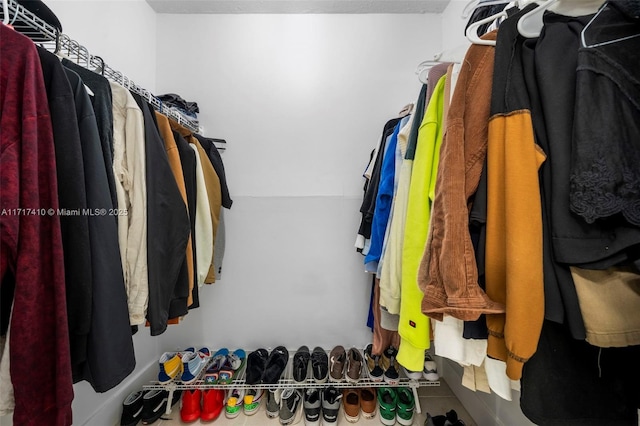 view of spacious closet