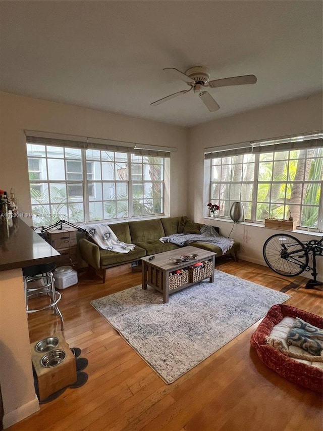 living room featuring light hardwood / wood-style floors, plenty of natural light, and ceiling fan