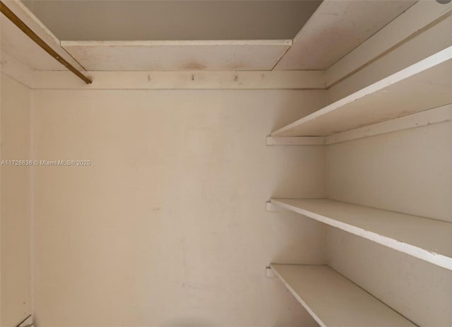 view of walk in closet