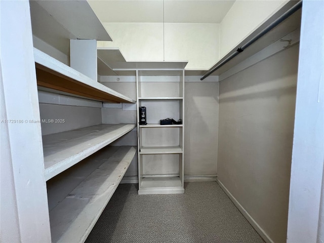 view of spacious closet