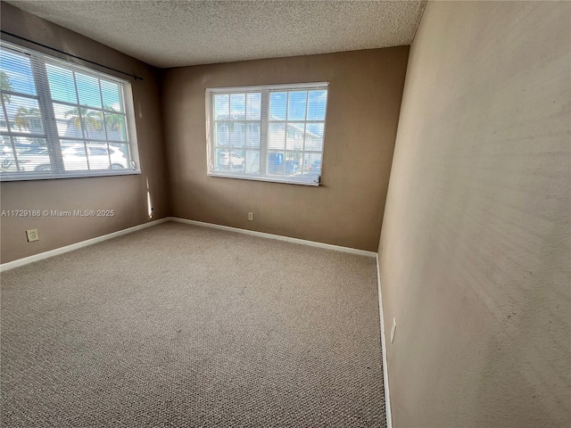 unfurnished room with a textured ceiling, carpet, and plenty of natural light