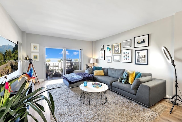 living room featuring light hardwood / wood-style floors