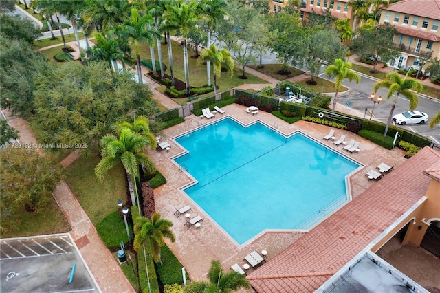 view of pool featuring a patio