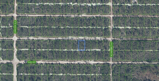 617 Parrot Ave, Sebring FL, 33872 land for sale