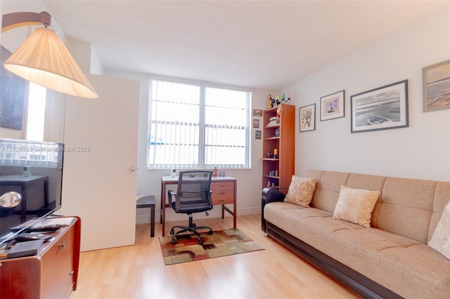 home office featuring light hardwood / wood-style flooring